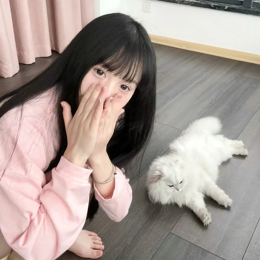 阿里山风云 封面