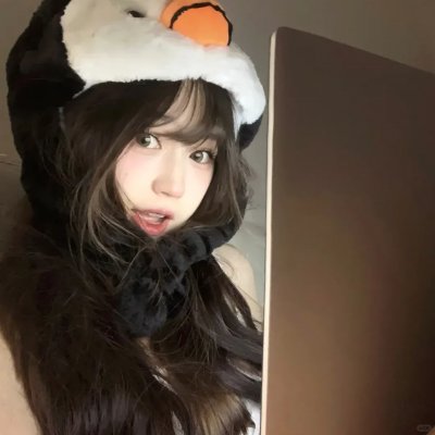 长毛狗 封面